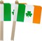 TSMD Ireland Irish Shamrock Stick Flag Saint Patrick's Day Clover Small Mini Hand Held Flags,5x8 Inch,12 Pack
